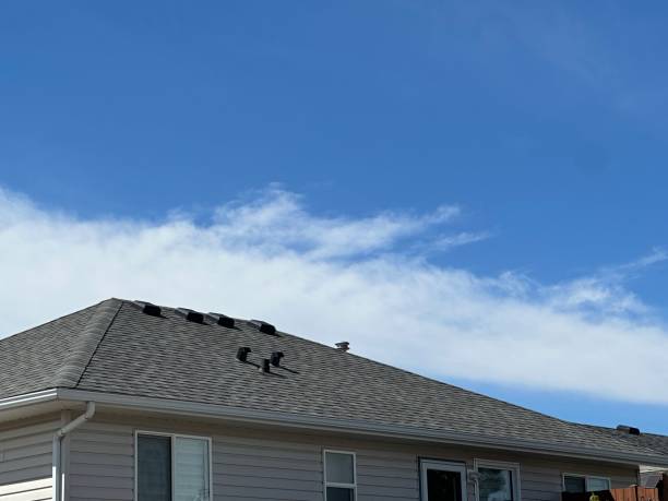 Best Gutter Installation and Repair  in Mendota, IL